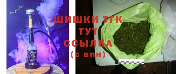 spice Ельня