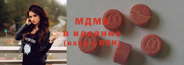 spice Ельня
