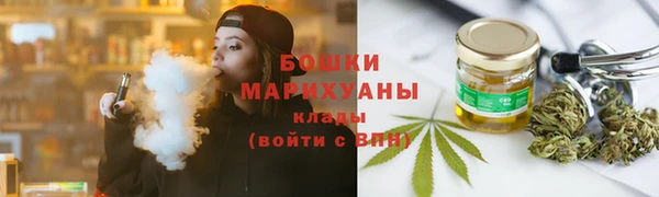 spice Ельня