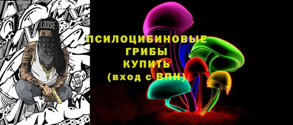 spice Ельня