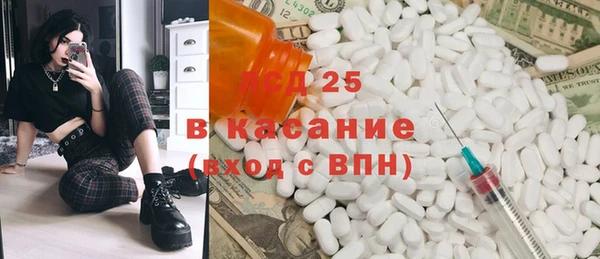 spice Ельня